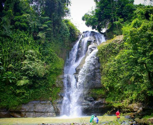 Sungai Bondan: The Secret to a Queue-Free Escape in Cilacap